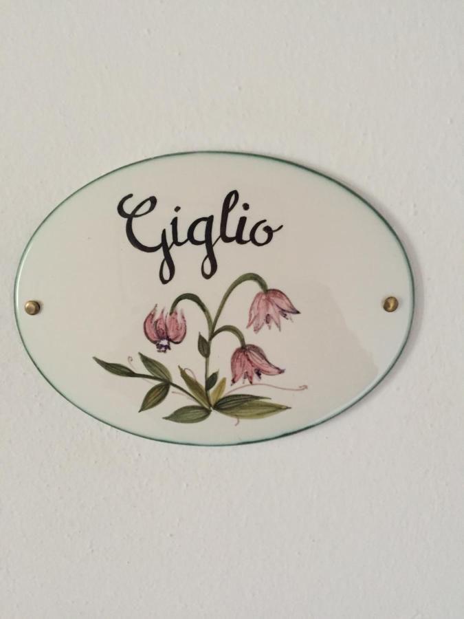 Qui Wolf Udine Otel Collalto Dış mekan fotoğraf